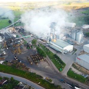 Cooperativa Pindorama: segredo do sucesso