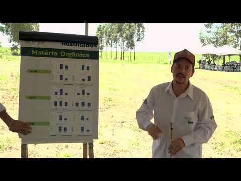 correcao e adubacao do perfil do solo dentro do sistema ipf