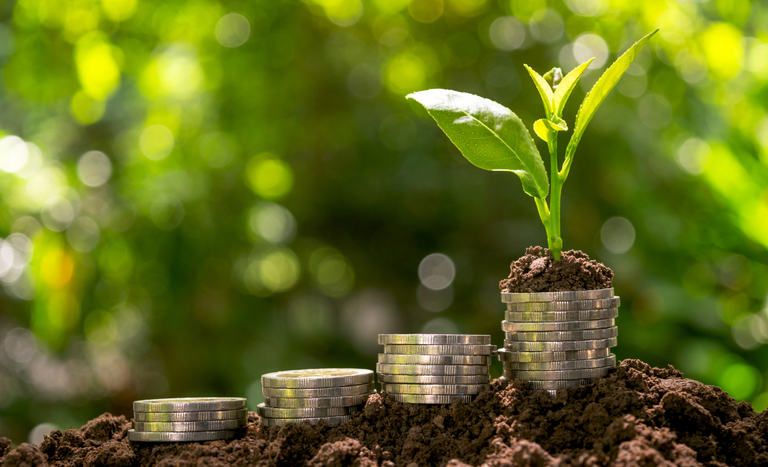 credito rural atinge r 250 bi em 6 meses 1