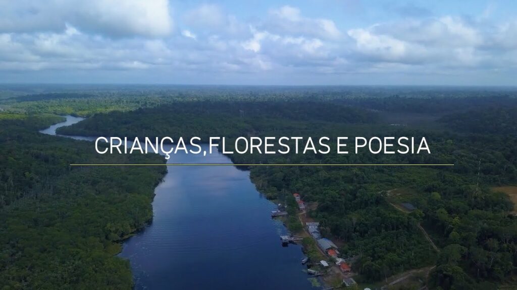criancas florestas e poesia