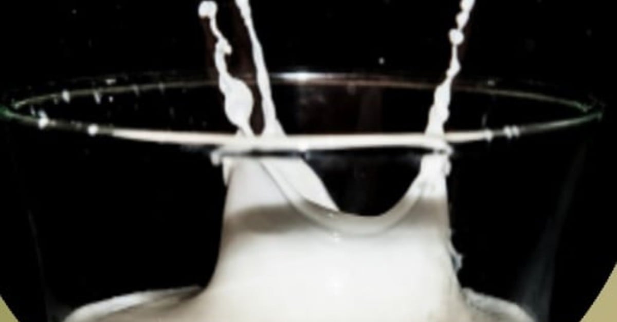 Crise na pecuária leiteira em 2023