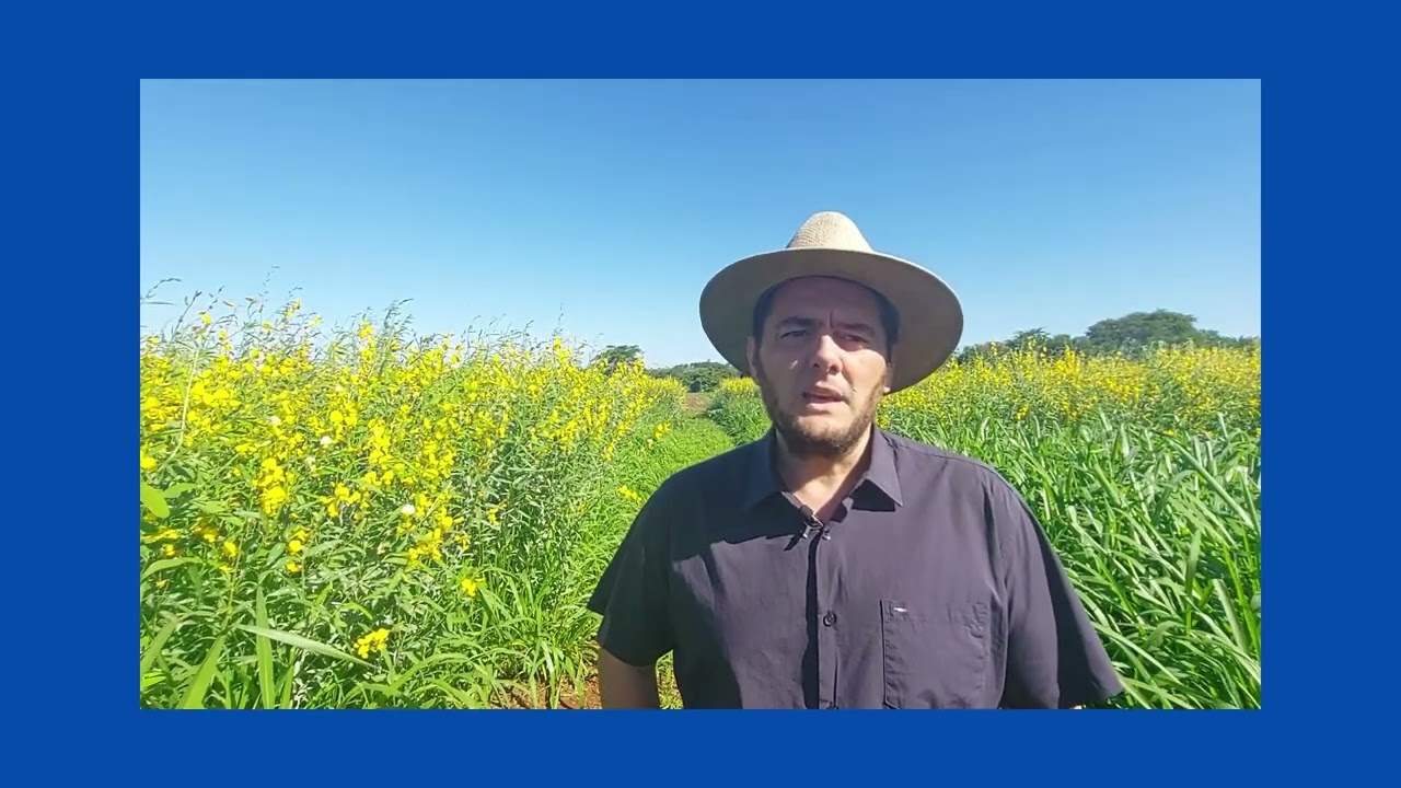 cultivos de entressafra da soja e praticas mecanicas para diminuir a compactacao do solo no spd