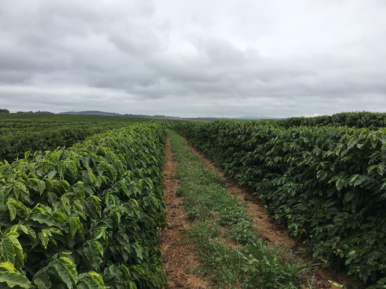 Descubra a importância dessa técnica crucial 29 Descubra a importância dessa técnica crucial