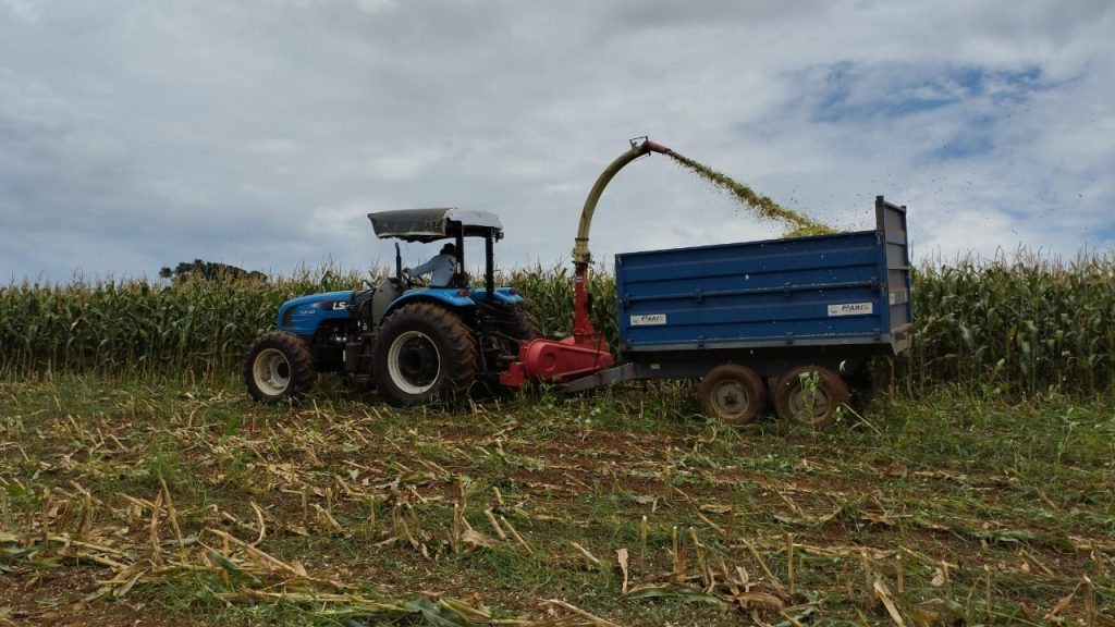 Descubra a nova técnica da Secretaria de Agricultura – DI Regional