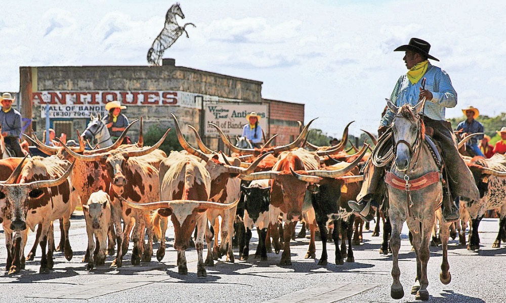 Descubra a pecuária revolucionária do Texas – CompreRural