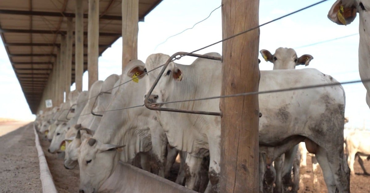 Descubra a revolução da Captar no Matopiba!
