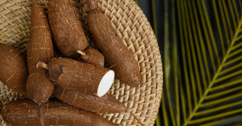 Intolerância à lactose? Bebida bebida fermentada à base de mandioca pode ajudar