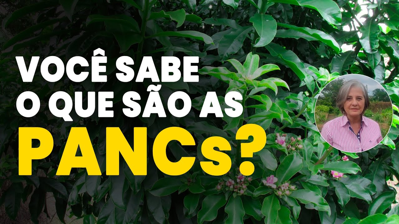 descubra as plantas alimenticias nao convencionais
