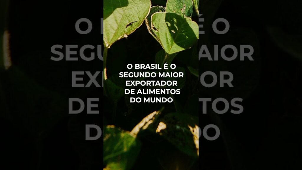 descubra fatos surpreendentes do agro f09f8cb1f09f87a7f09f87b7