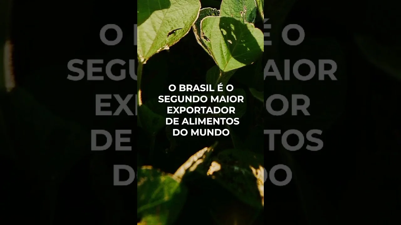 descubra fatos surpreendentes do agro f09f8cb1f09f87a7f09f87b7