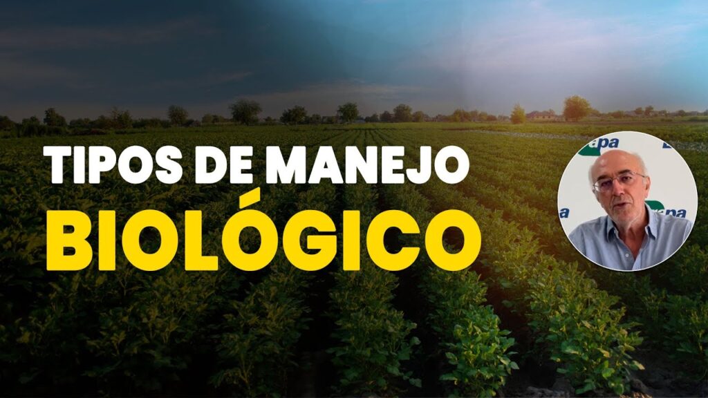 descubra os manejos biologicos na agricultura
