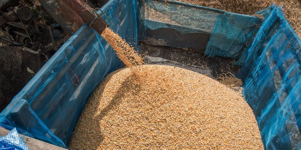 Descubra os Moinhos para Moagem de Grãos 28 Facebook