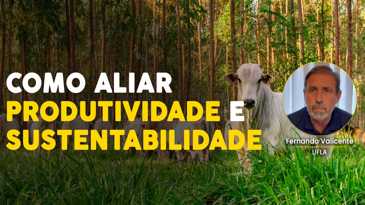 Descubra os Vantagens do SIPA