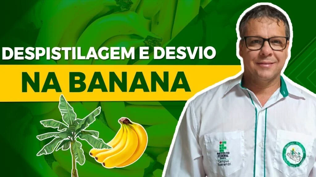 Despistilagem e Desvio: Dicas com Sérgio Donato 1 despistilagem e desvio dicas com sergio donato