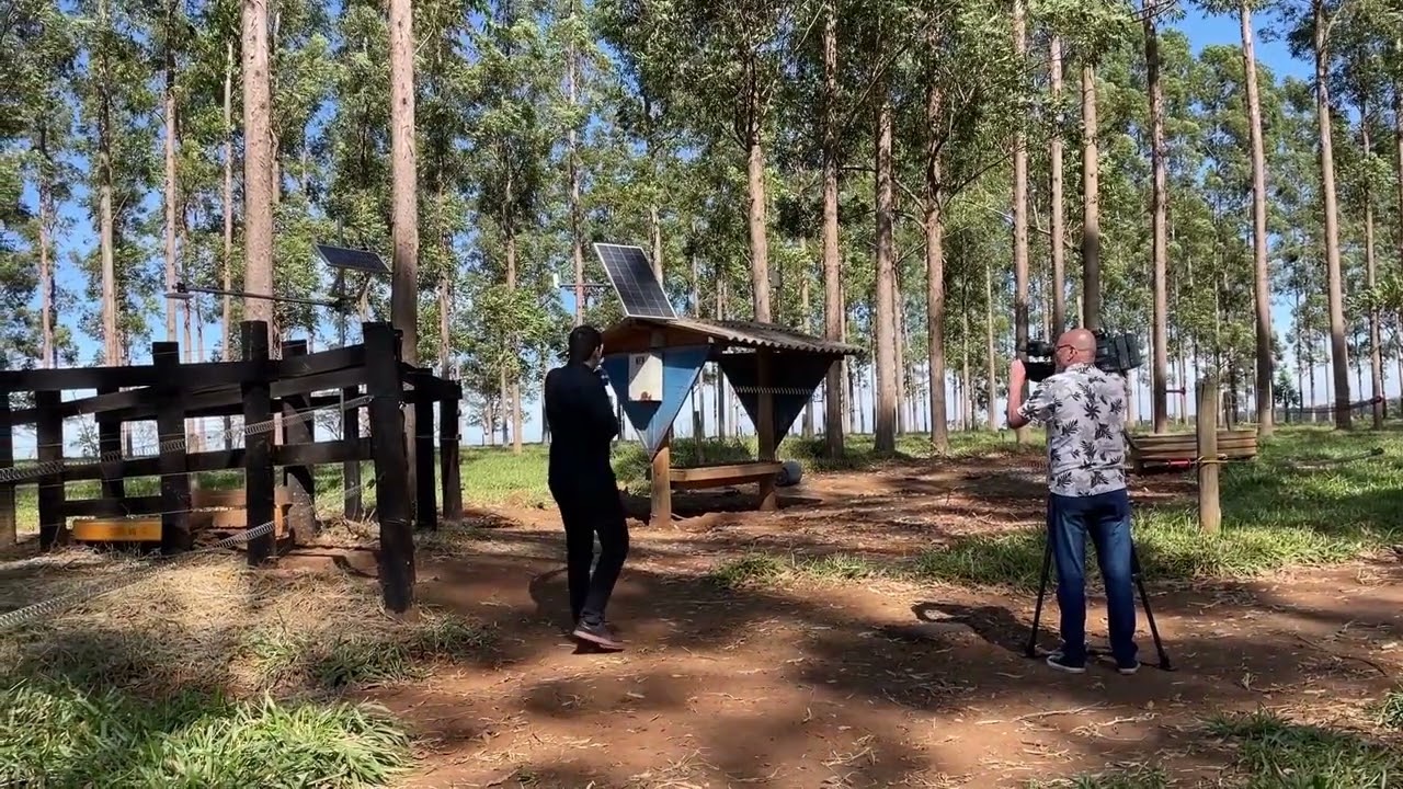 dia de campo pecuaria de precisao aplicada a sistemas integrados