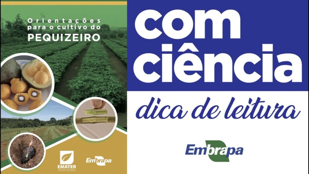 dica de leitura orientacoes para o cultivo do pequizeiro