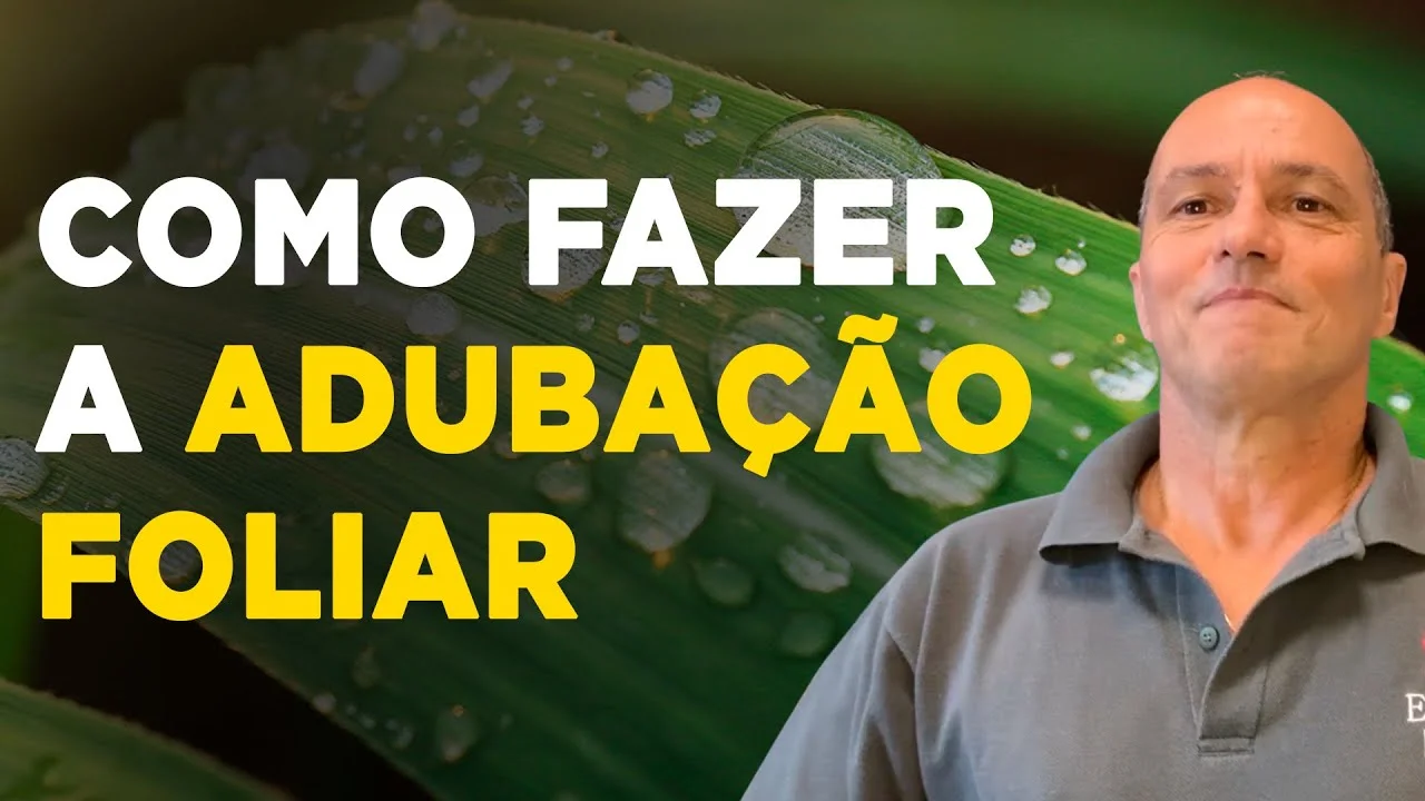 dicas para adubar com eficiencia