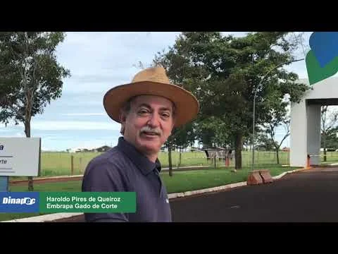 Dinapec 2023 - Convite | Haroldo Pires de Queiroz - Embrapa Gado de Corte 9 dinapec 2023 convite haroldo pires de queiroz embrapa gado de corte