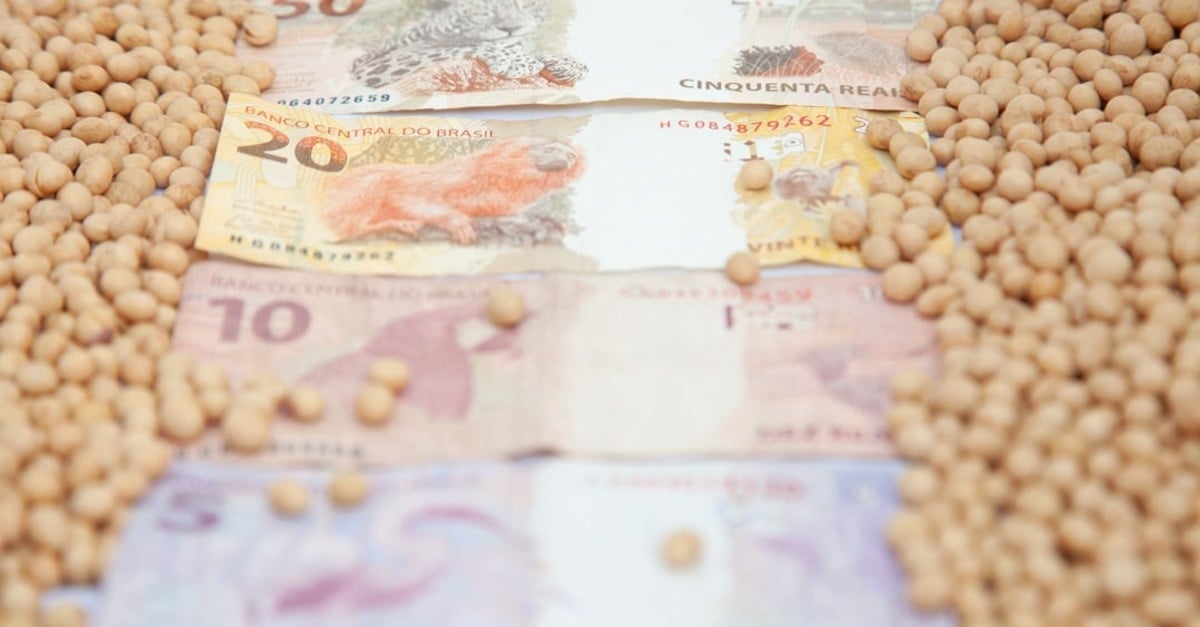 Dólar e Chicago não seguram soja no Brasil
