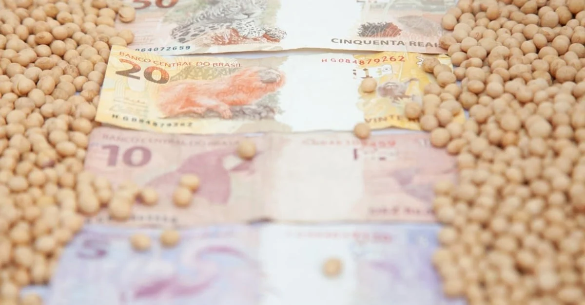 Dólar e Chicago não seguram soja no Brasil 12 Alta do dólar e de Chicago não segura queda da soja no Brasil