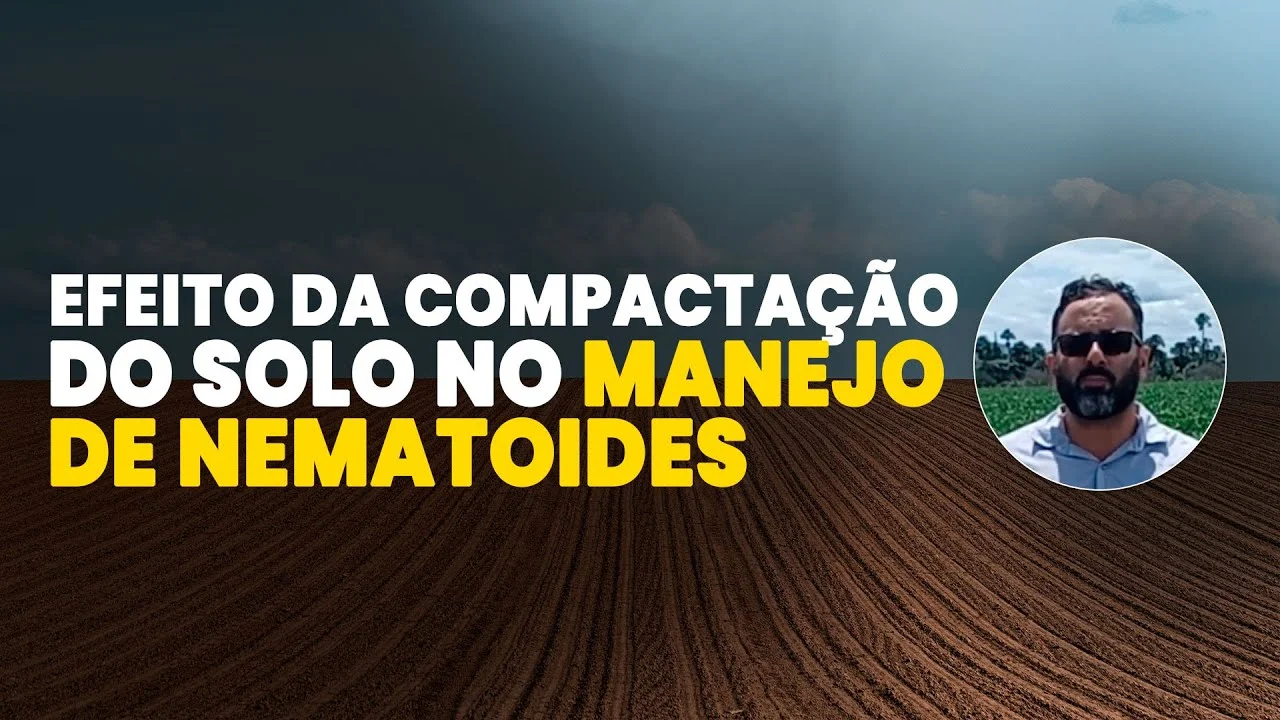Efeito da compactação do solo nos fitonematoides 2 efeito da compactacao do solo nos fitonematoides