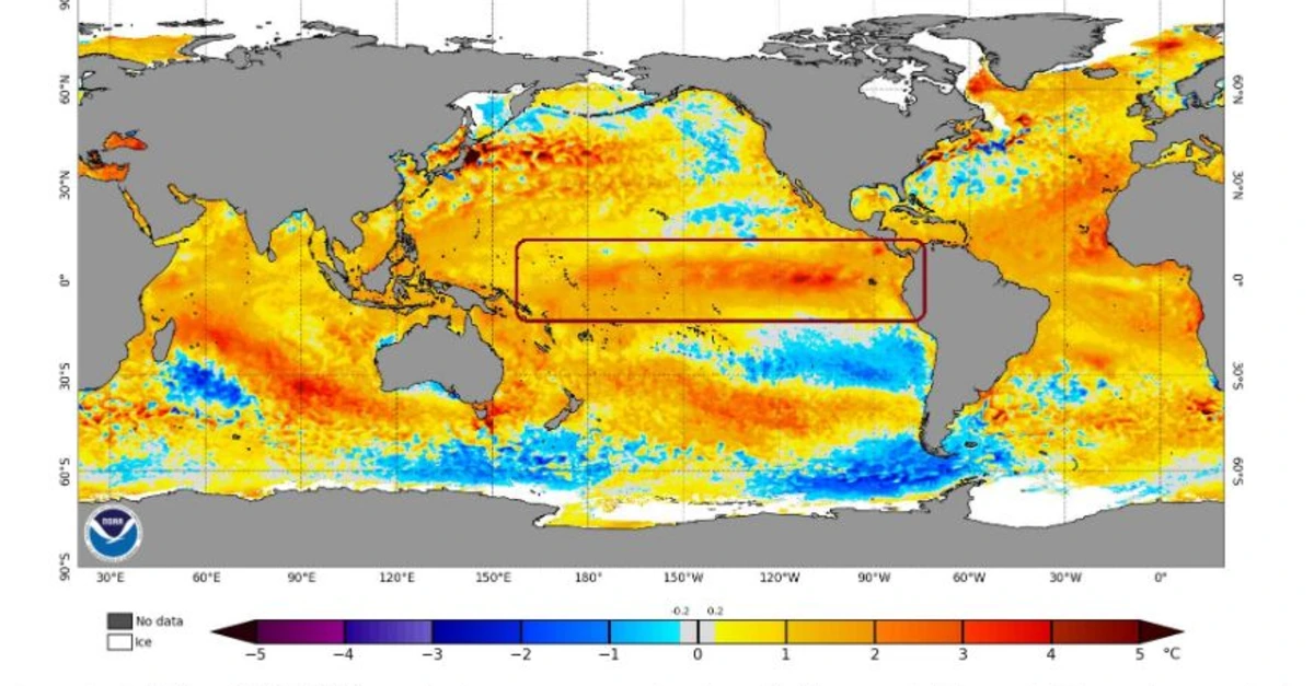 El Niño: o que esperar em 2024?