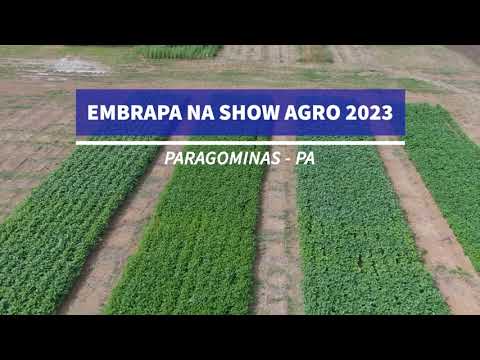 embrapa na show agro 2023