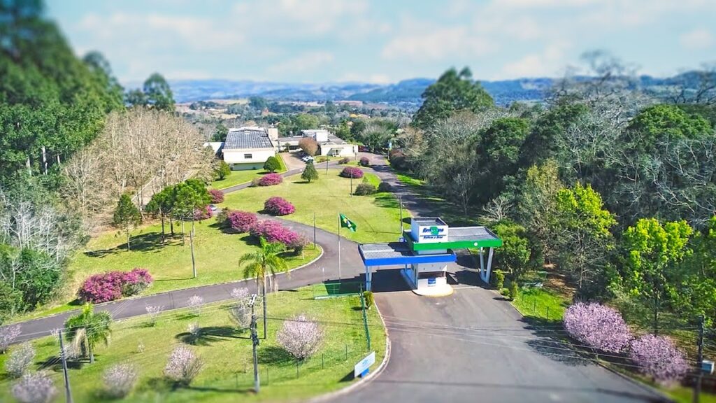 embrapa suinos e aves institutional video english