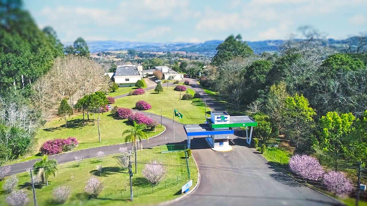 embrapa suinos e aves institutional video english