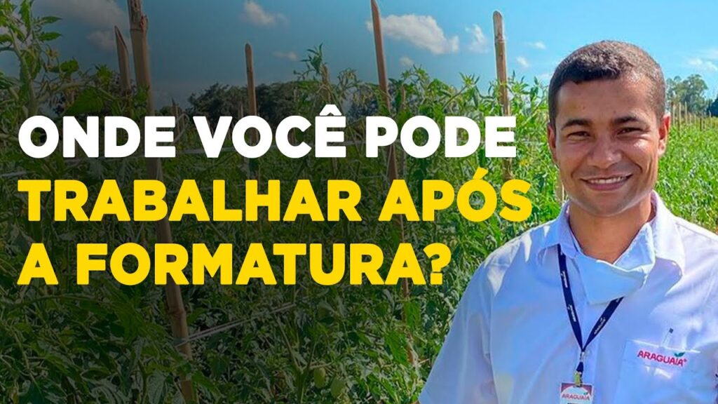 empregos para recem formados