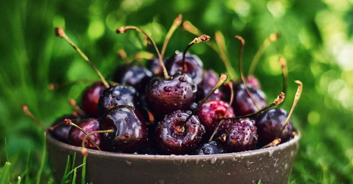 Empresa chilena deve se tornar a maior produta de frutas premium do mundo