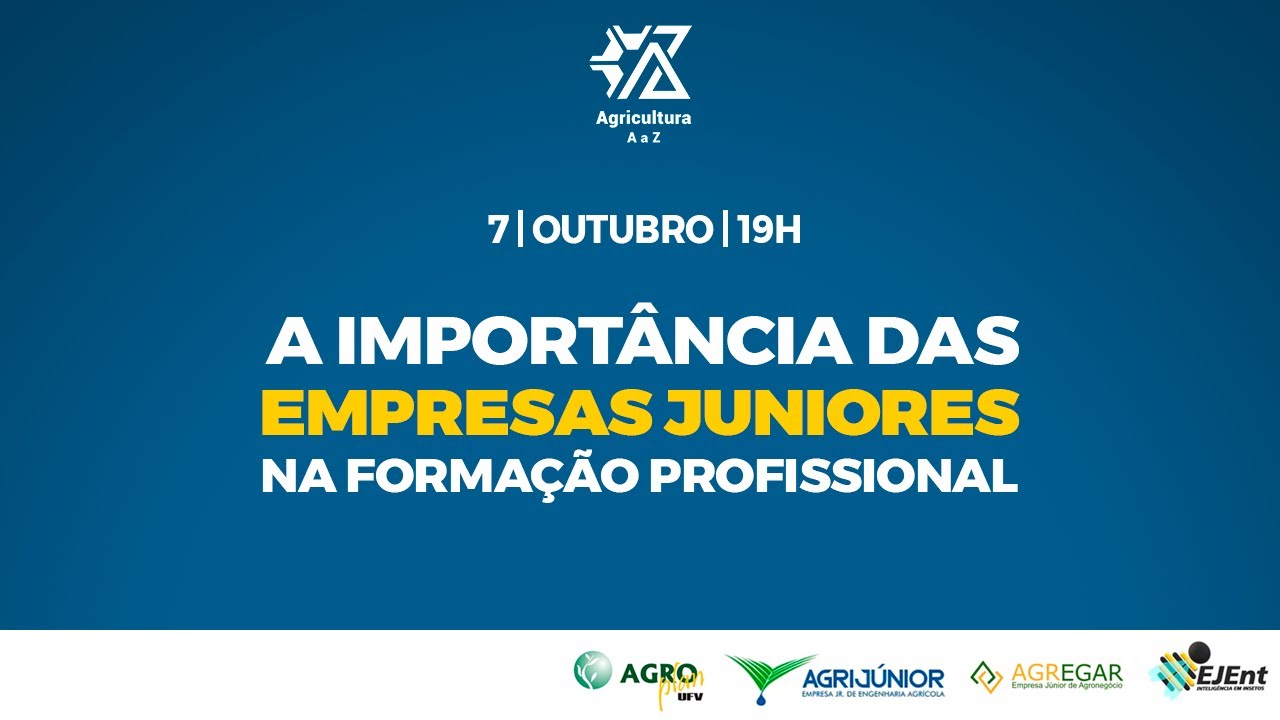 empresas juniores formacao profissional