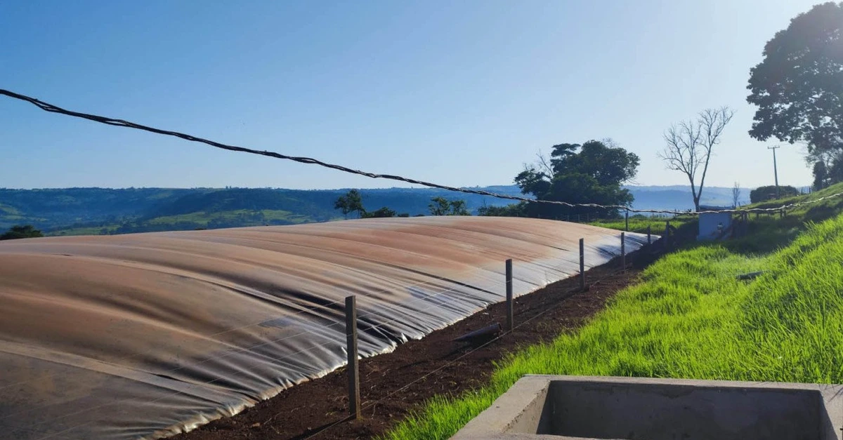 Energia renovável no campo: case internacional!