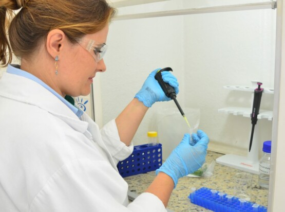 Epagri procura bolsistas para pesquisa agropecuária