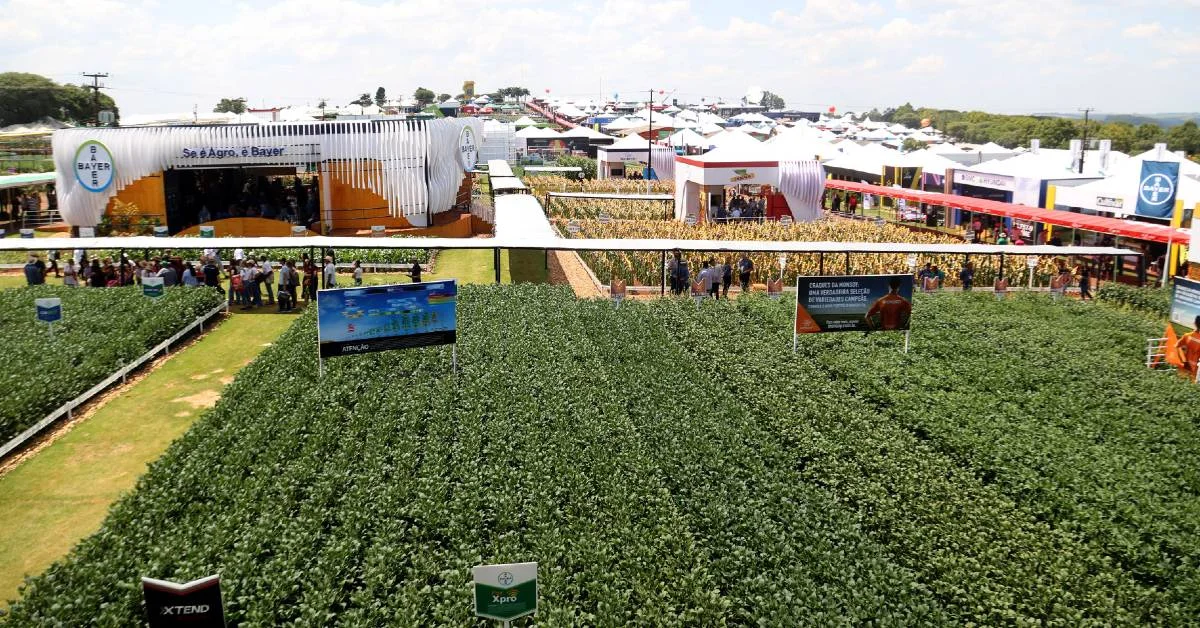 Para prevenir gripe aviária, Adapar renova proibição de aves em eventos agropecuários • Portal DBO