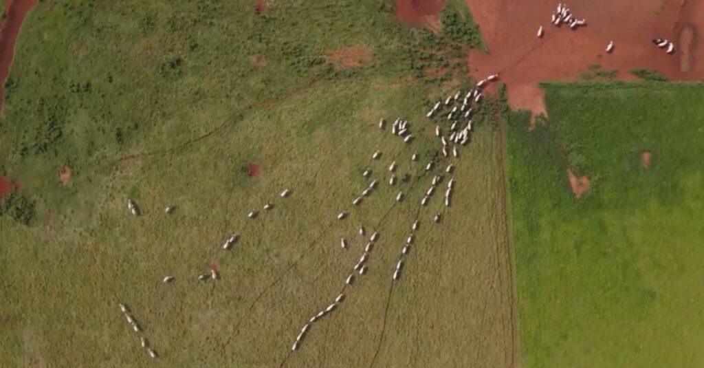 Escritório Verde resolve 513 atendimentos em MS 2023 9 Com 513 atendimentos, Escritório Verde ajuda regularizar 322 fazendas no Conesul de MS em 2023