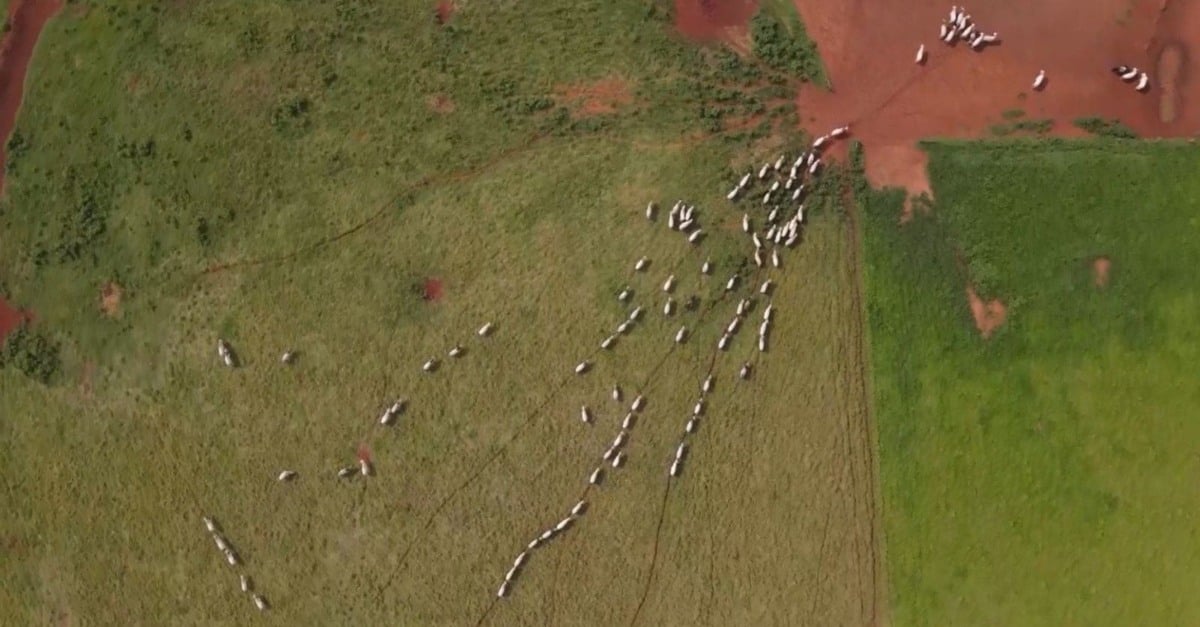 Escritório Verde resolve 513 atendimentos em MS 2023