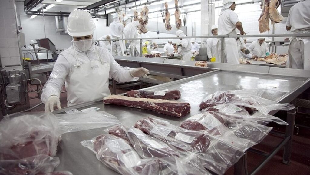 Após recorde em 2023, exportação de carne da Argentina vive incerteza | Boi
