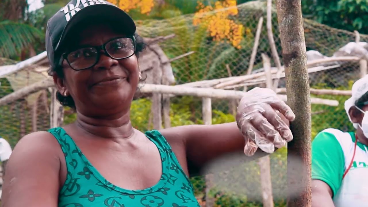 farinhas alternativas