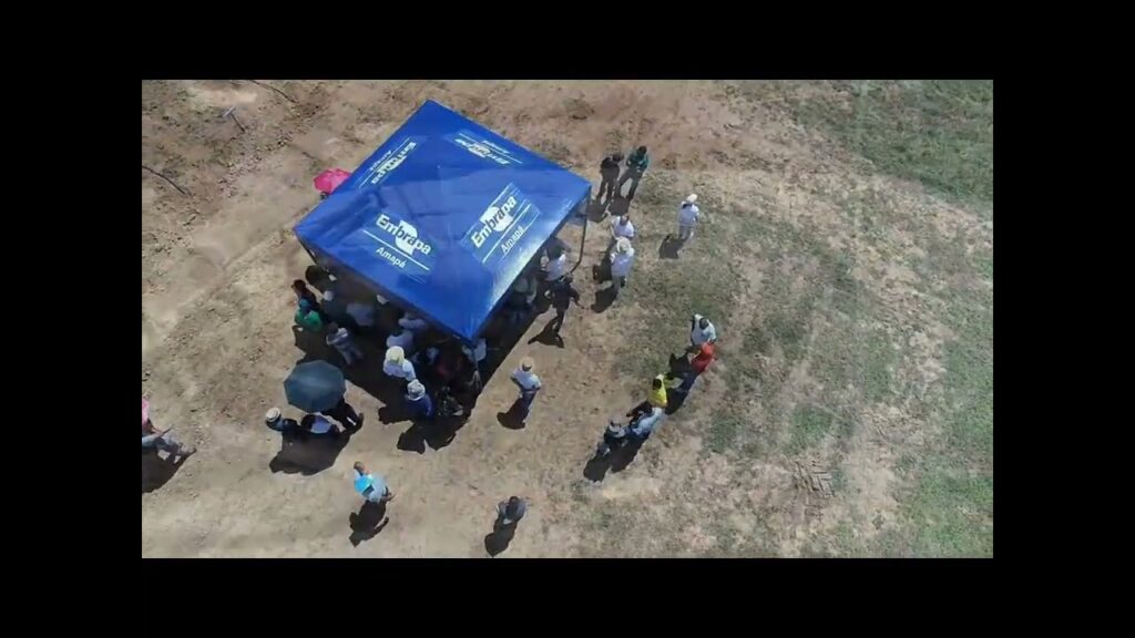 i encontro estadual de inovacoes da cadeia produtiva da mandioca no estado do amapa