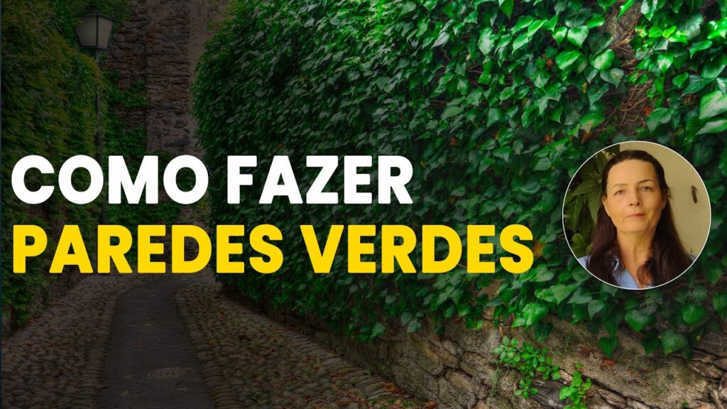 implantacao de paredes verdes passo a passo
