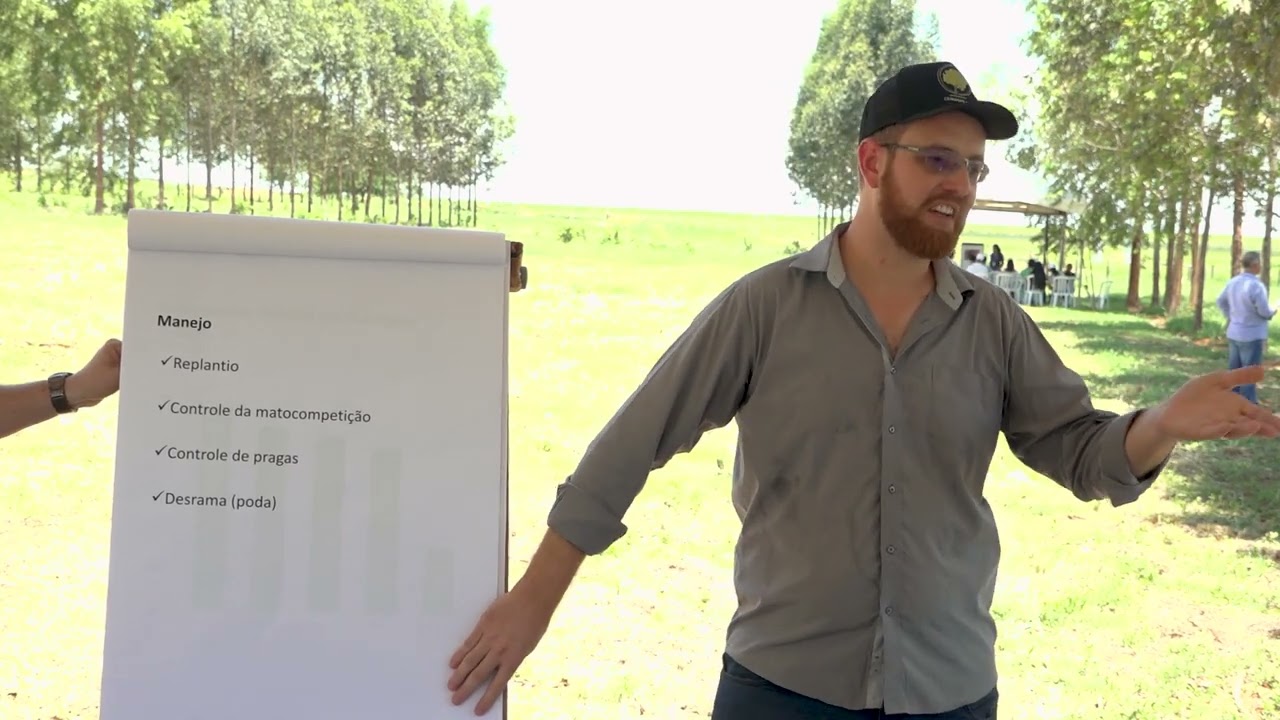 Implantação, manejo e desempenho florestal dos eucaliptos na IPF da fazenda Novapec 1 Implantação, manejo e desempenho florestal dos eucaliptos na IPF da fazenda Novapec