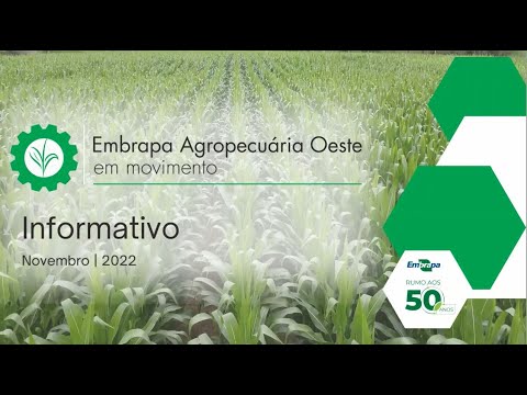 informativo embrapa agropecuaria oeste em movimento edicao novembro 2022