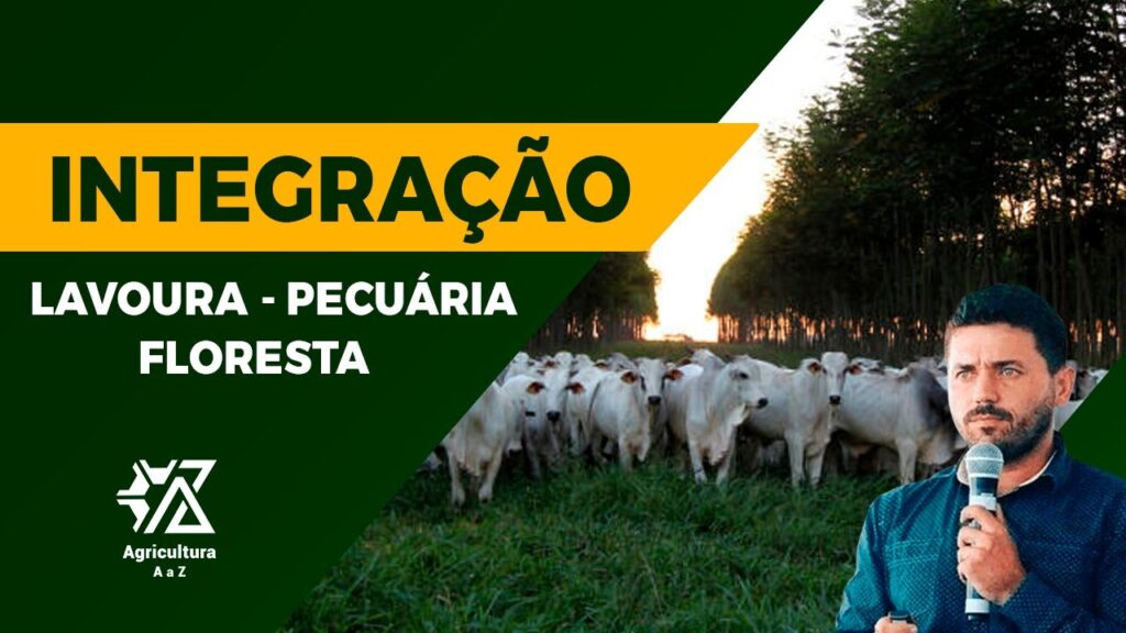 integracao lavoura pecuaria com emerson trogello
