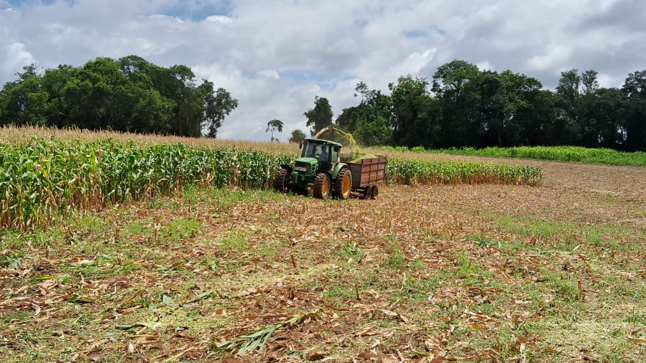 “Jacutinga revoluciona produção agrícola” – Jornal Bom Dia