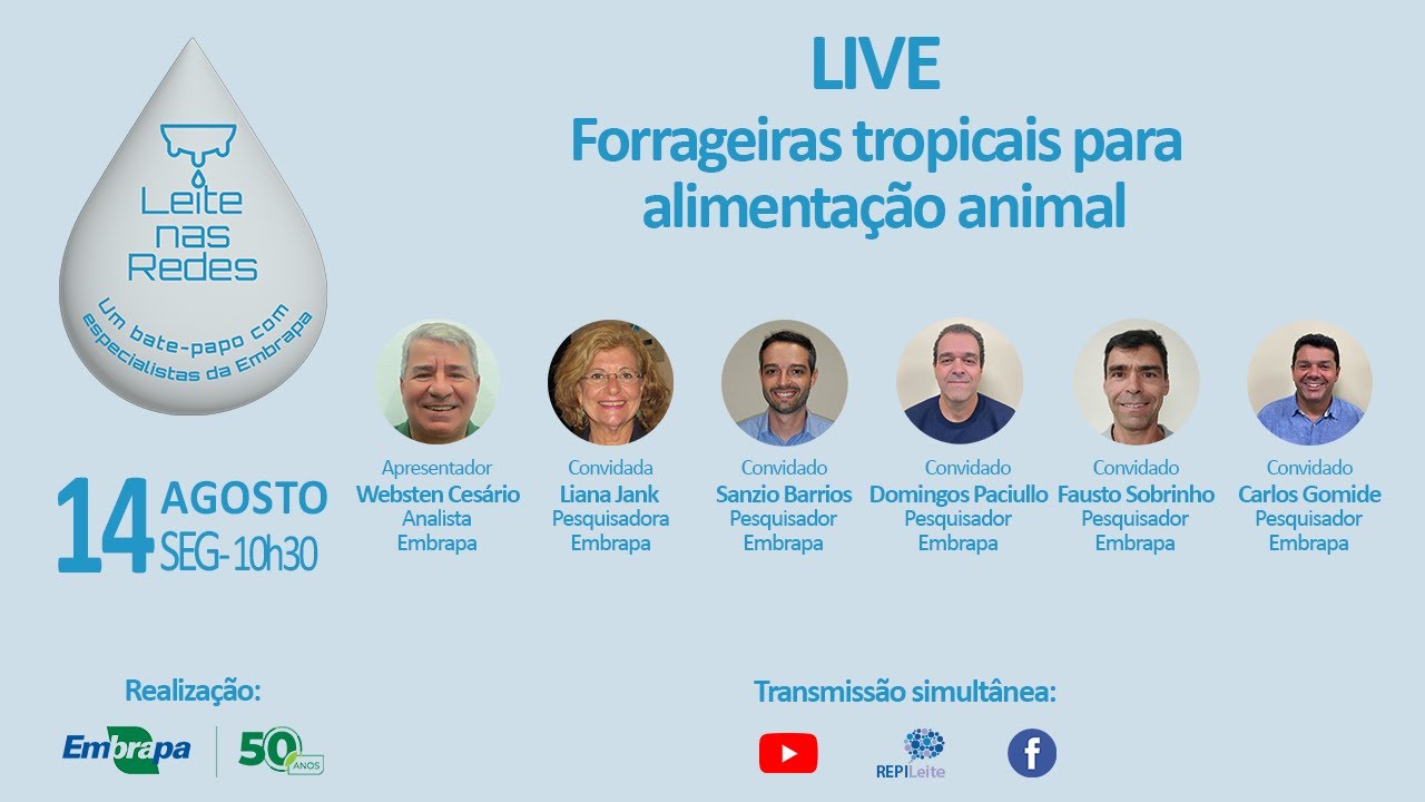 leite nas redes forrageiras tropicais para alimentacao animal