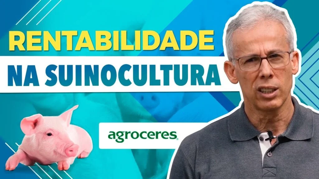 Lucro na Suinocultura: Dicas com Edmo Carvalho 4 lucro na suinocultura dicas com edmo carvalho