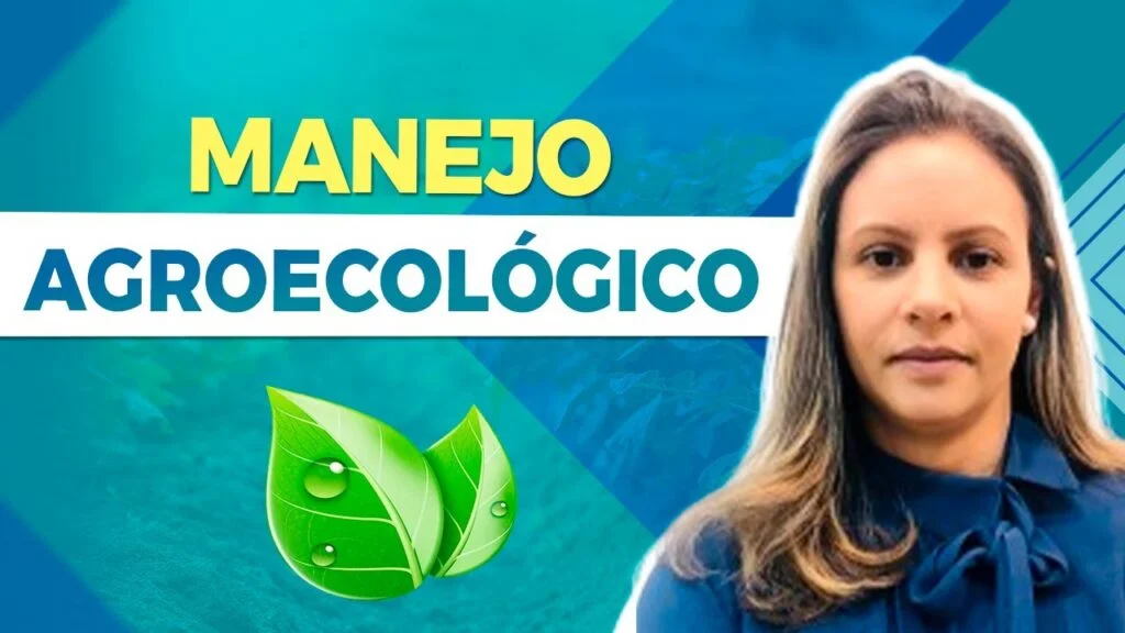 Manejo Agroecológico Desvendado - Vânia Xavier 4 manejo agroecologico desvendado vania xavier