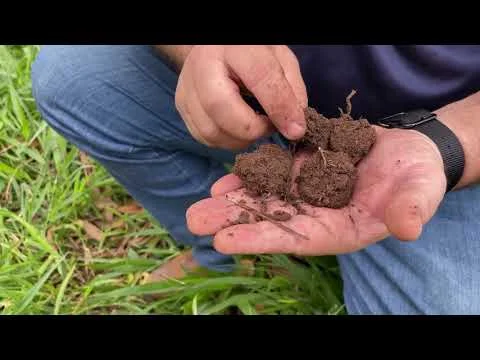 manejo conservacionista contribui para saúde do solo 3 manejo conservacionista contribui para saude do solo