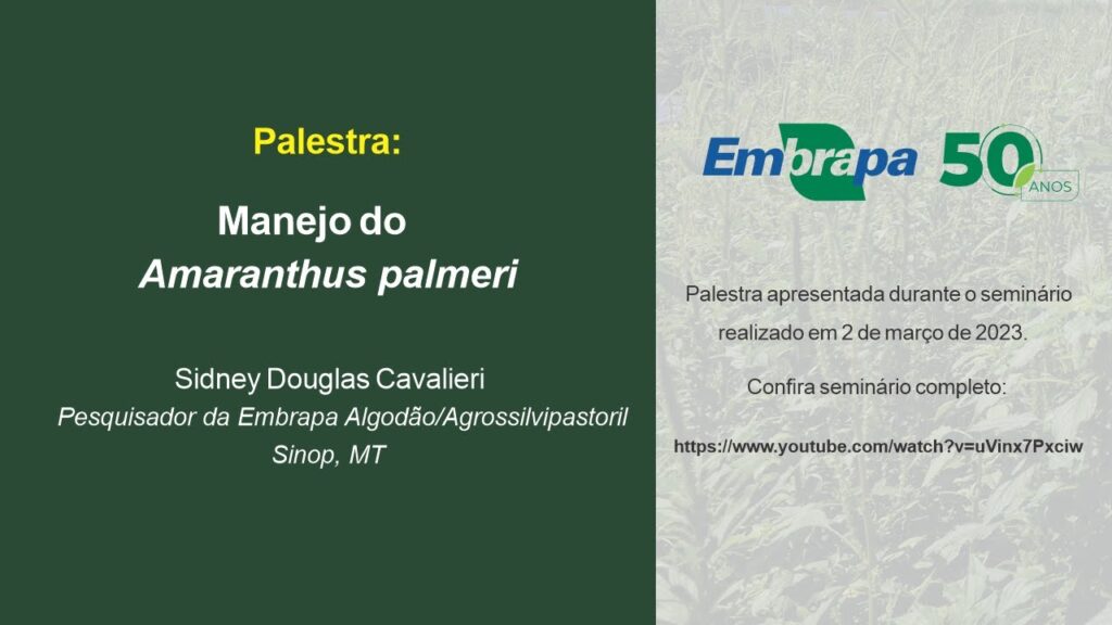 manejo do amaranthus palmeri sidney douglas cavalieri